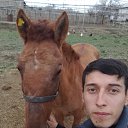 ���� Feruz, �����������, 31 ��� - ��������� 25 ���� 2023 � ������ ���� ����������