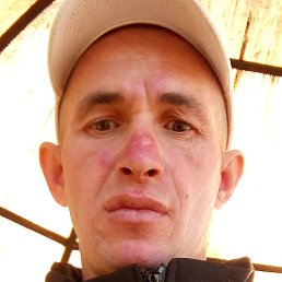 ������, ������, 36 ���