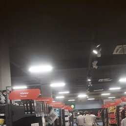 Temur, �������, 37 ���