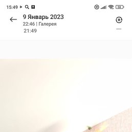 ����, ������������, 49 ���