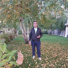 ������, ������, 60 ���