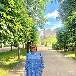 ����, �����-���������, 44 ����