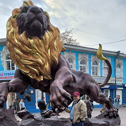 �����, �����, 51 ���