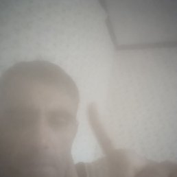 ������, ������, 48 ���