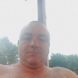 ���������, ���������, 49 ���