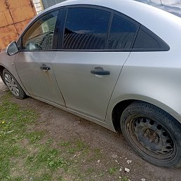 �����, ������ ��������, 49 ���