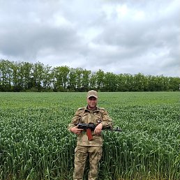 �����, ������, 41 ���