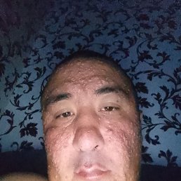 �����, ���, 38 ���