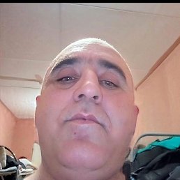 ����, ������, 46 ���