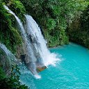���� �����, ������, 44 ���� - ��������� 24 ������� 2023 � ������ ���� ����������
