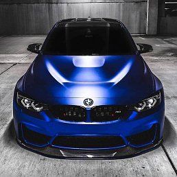 �����, �������, 43 ����