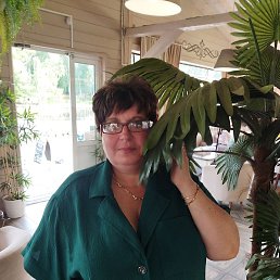 �����, ������ ��������, 52 ����