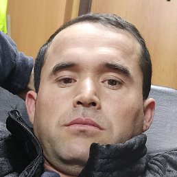 ����, �����-���������, 37 ���