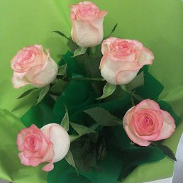 ����, ������, 67 ���