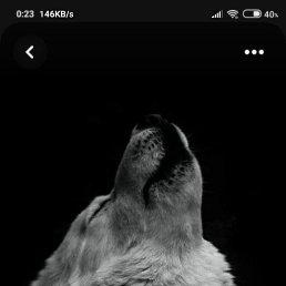 ���� Hihijk, �����, 26 ��� - ��������� 18 ������ 2023