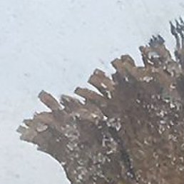 ����, ������, 60 ���