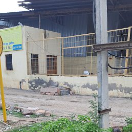 ���� Muqeem, ����, 28 ��� - ��������� 29 ���� 2023