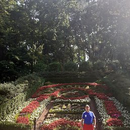 ������, ���������, 60 ���