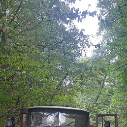 �������, ���������, 37 ���