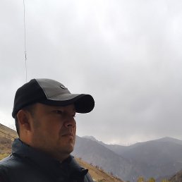 �����, �������, 44 ����