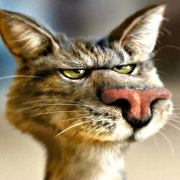 ���������, �������, 48 ���