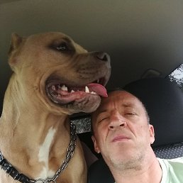 ��������, �����-���������, 50 ���