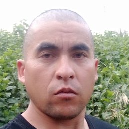 �����, �����, 34 ����