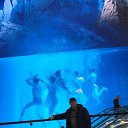 ���� �����, ������, 49 ��� - ��������� 3 ������� 2023 � ������ ���� ����������