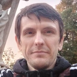 ����, �����-���������, 41 ���