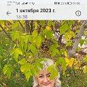 ���� ����, ������, 66 ��� - ��������� 5 ������� 2023 � ������ ���� ���