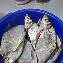 ���� �����, ��������, 57 ��� - ��������� 12 ��� 2023 � ������ ������ ��������