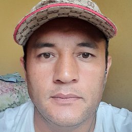 �����, ������, 43 ����