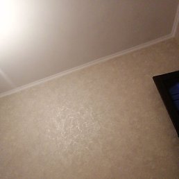 ����, �������, 32 ����