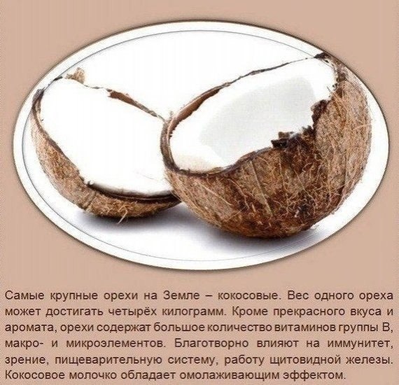      - 5