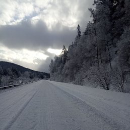 ���� ������, �����-��������, 54 ���� - ��������� 1 ����� 2023