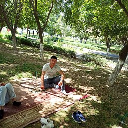 Sardor, �����, 31 ���