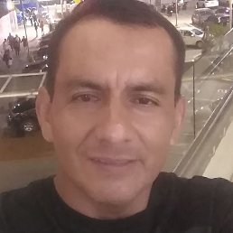 Henry, ����, 48 ���