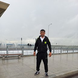 �����, �����-���������, 34 ����