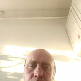 �����, ���������, 46 ���