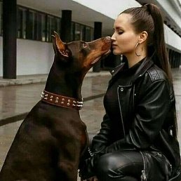 �����, ������, 38 ���