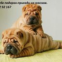 ���� �����, ���, 53 ���� - ��������� 7 ������ 2023 � ������ ������ ��������