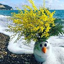 ���� �������, ���� - ��������� 8 �������� 2023 � ������ ���� ����������