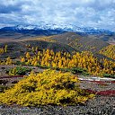 ���� ������, ������, 62 ���� - ��������� 16 ������� 2023 � ������ �������