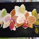  Helen-art,  -  14  2023