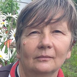 �����, ���������, 54 ����