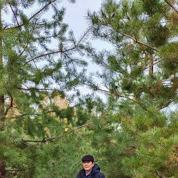 ���� ���������, ���������, 74 ���� - ��������� 30 ������ 2023