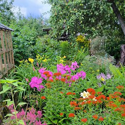 ���� ������, ��������, 47 ��� - ��������� 28 ���� 2023