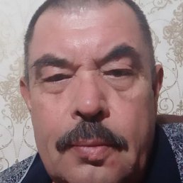 �����, �����, 65 ���