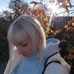 �������, �����-���������, 41 ���