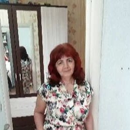 ������, ������, 64 ����